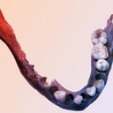 A dél-afrikai ősember döbbenetesen eltérő génállománya