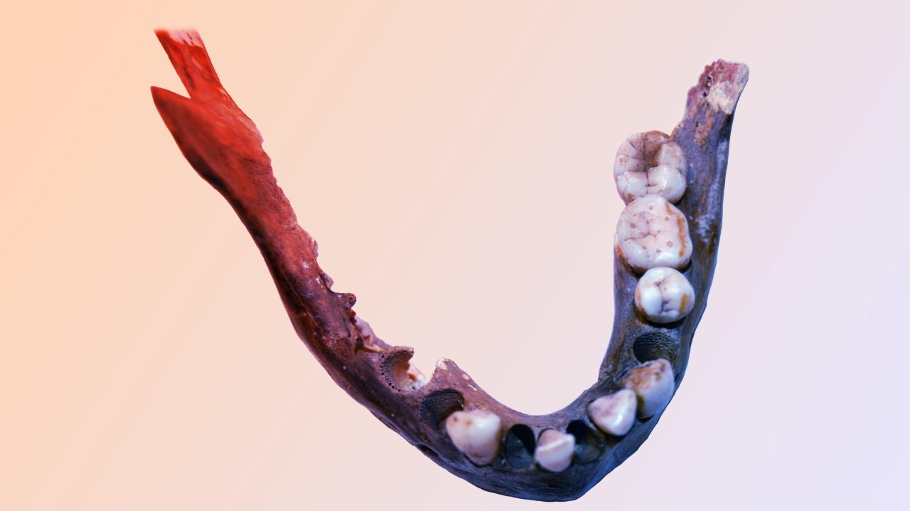 A dél-afrikai ősember döbbenetesen eltérő génállománya