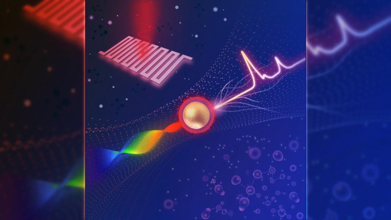 A forradalmi képalkotás felfedi a rák legkorábbi jeleit