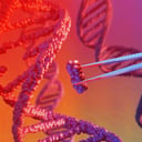 A gyógyítás forradalma, zuhanó közegészség: mi vár ránk 2026-ban?