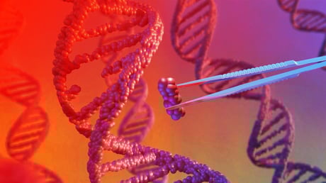 A gyógyítás forradalma, zuhanó közegészség: mi vár ránk 2026-ban?