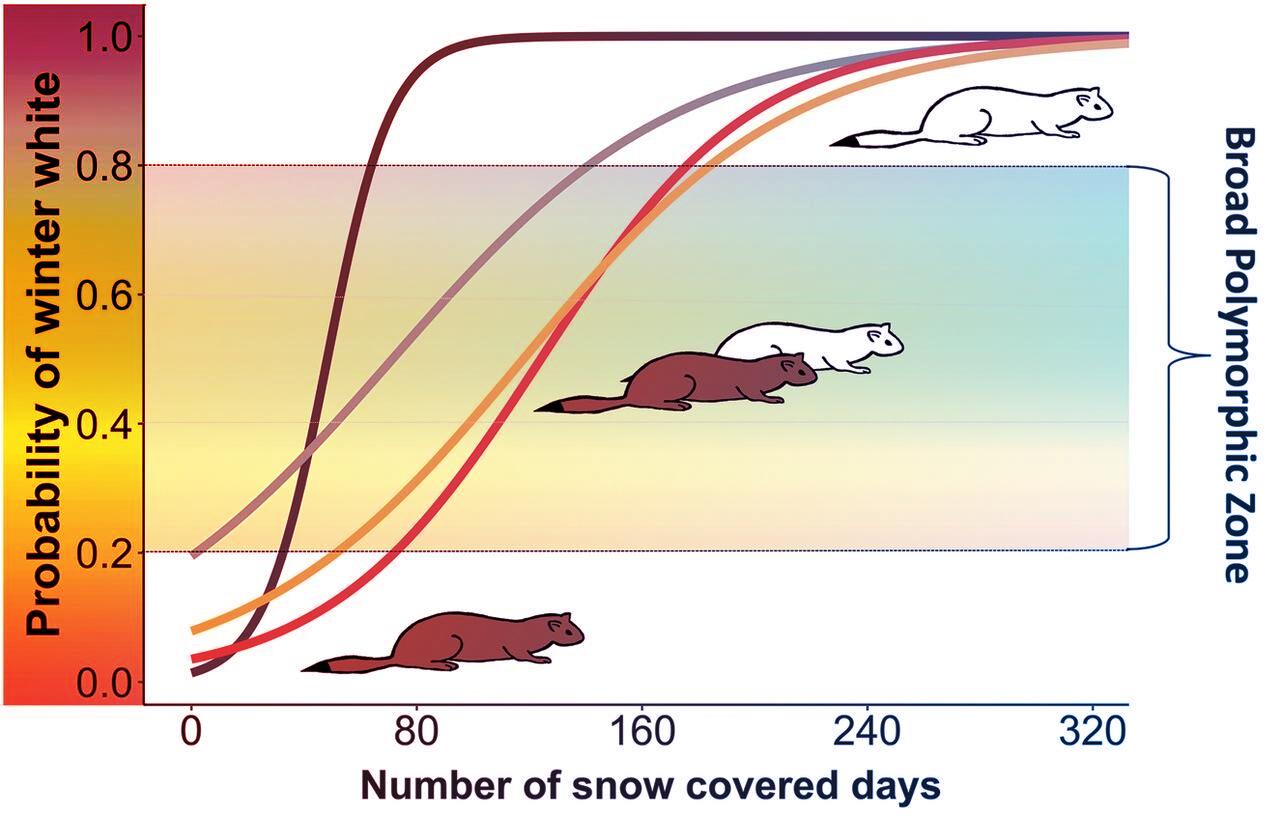 A hó birodalma: Colorado rejtett fehér csodái