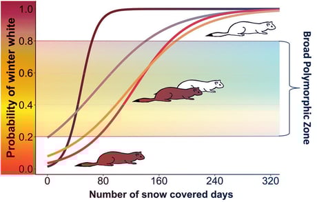 A hó birodalma: Colorado rejtett fehér csodái