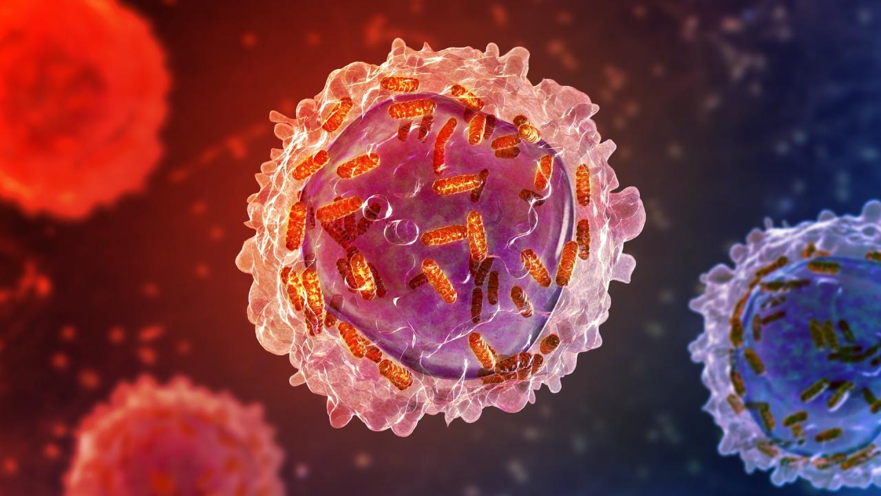 A leukémia elleni áttörést egy kitartó kémikusnő hozta el.