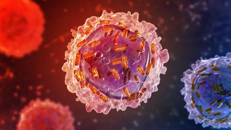 A leukémia elleni áttörést egy kitartó kémikusnő hozta el.