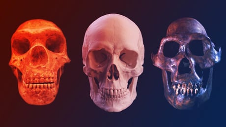 A neandervölgyiek rejtélyei: tíz döbbenetes felfedezés 2025-ből