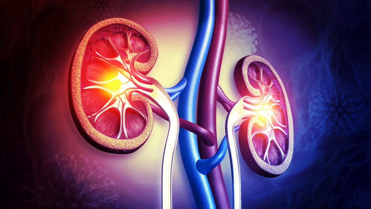 A népszerű hashajtó meglepő védelmet adhat a veséknek