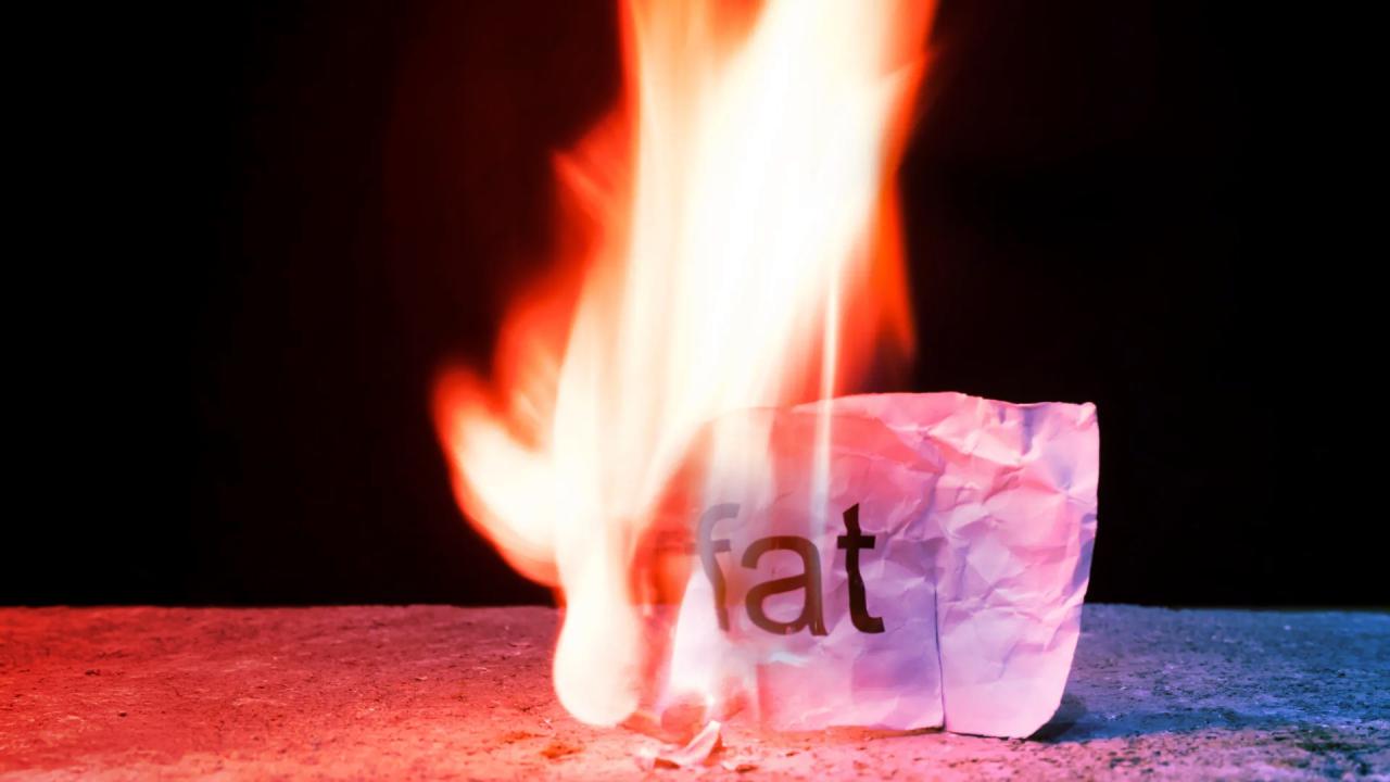 A rejtett zsírégető kapcsoló: új remény az FGF19-től