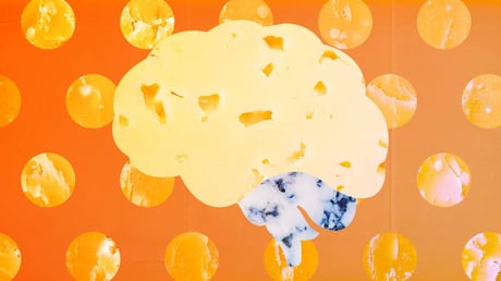 A sajt tényleg megvéd a demenciától?