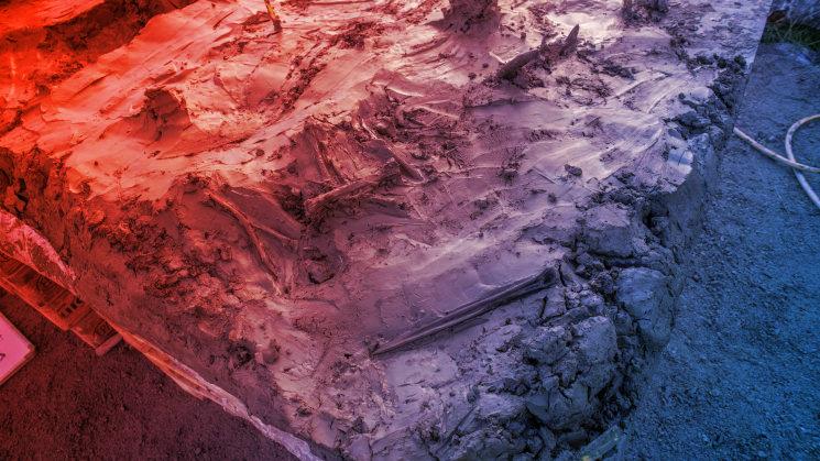 A svéd 5000 éves kutyalelet és a tőr hátborzongató rejtélye