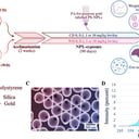 A táplálkozásunkon múlik, mennyire veszélyes a nanoműanyag