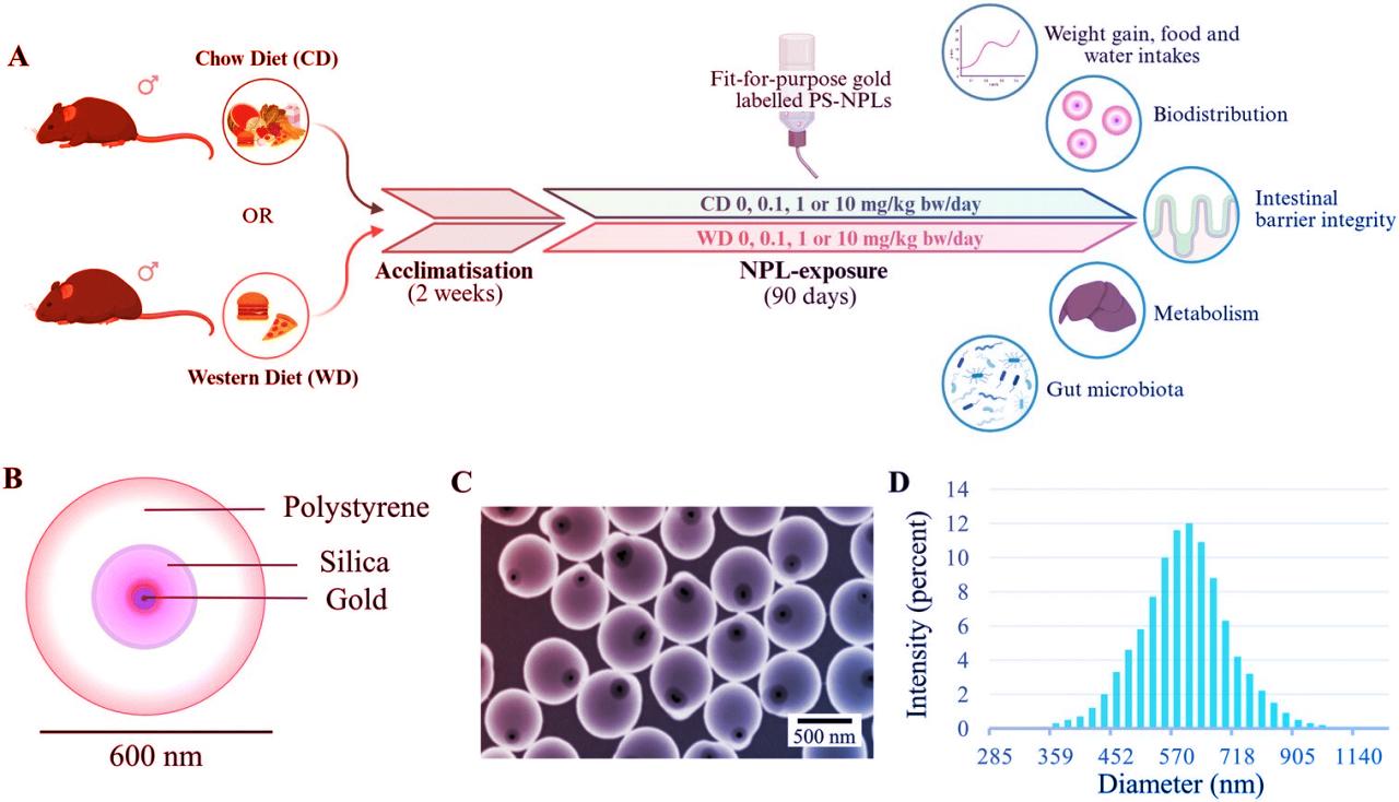 A táplálkozásunkon múlik, mennyire veszélyes a nanoműanyag