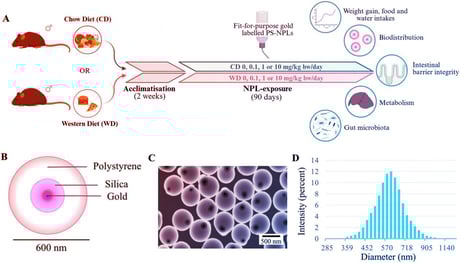 A táplálkozásunkon múlik, mennyire veszélyes a nanoműanyag