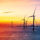 A tengeri szélerőművek a tenger titkos menedékei lesznek