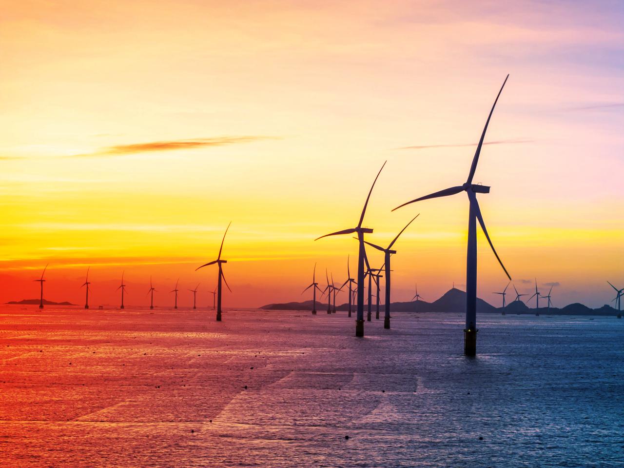 A tengeri szélerőművek a tenger titkos menedékei lesznek