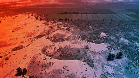 A zöld nagy fal: Kína erdős pajzsa a sivatag ellen