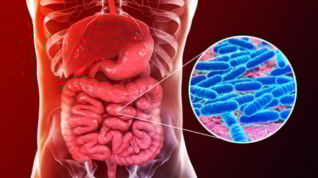 Aki mellett élsz, az a bélflórádat is alakítja