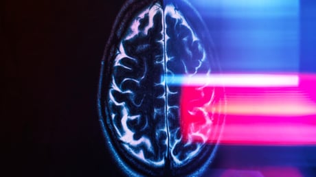 Az agy belső GPS-e vezet, hogy ne tévedjünk el