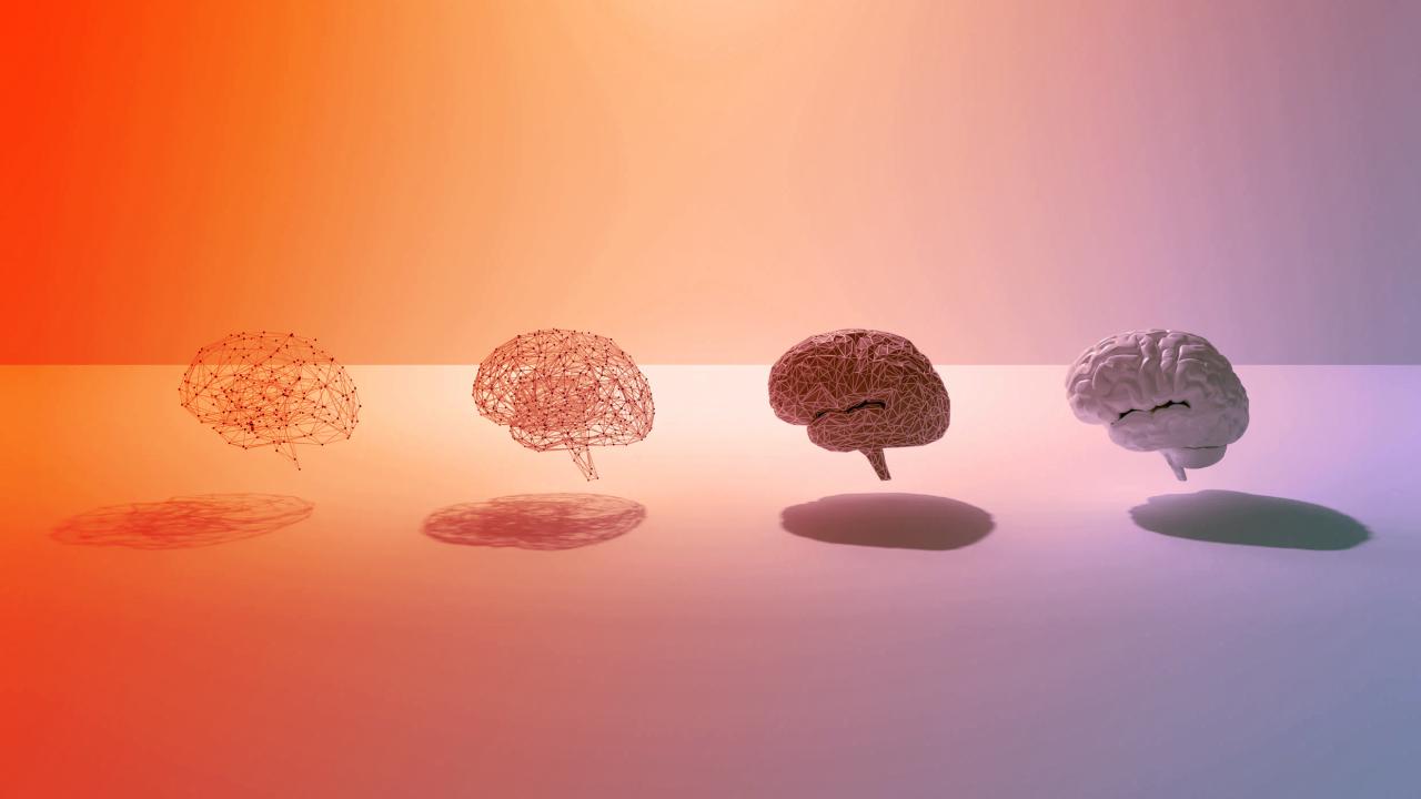 Az agy csak harminc után érik be igazán