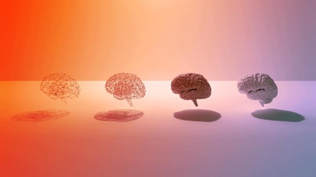 Az agy csak harminc után érik be igazán