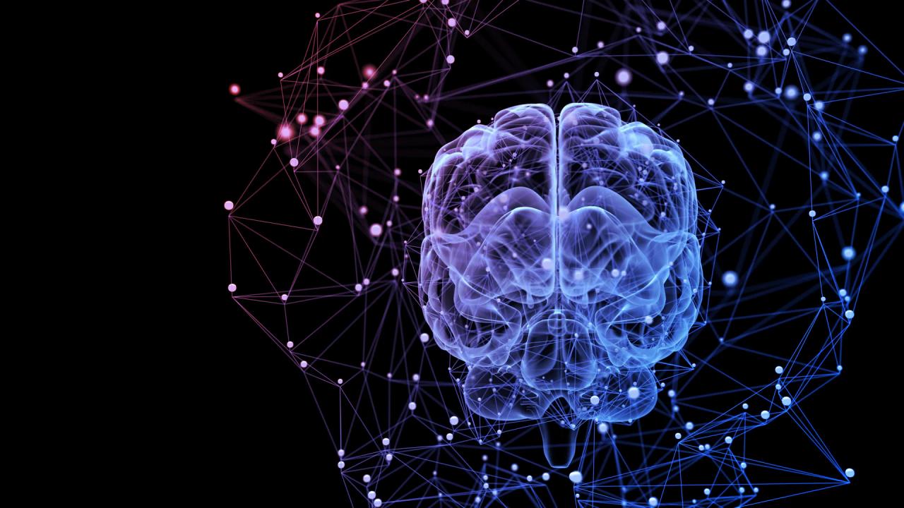 Az agy csapdája: így tartanak fogva a rossz szokások