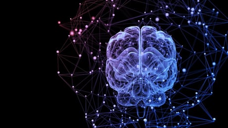 Az agy csapdája: így tartanak fogva a rossz szokások