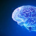 Az agy nagytakarítása: kevesebb epilepsziás roham, jobb memória