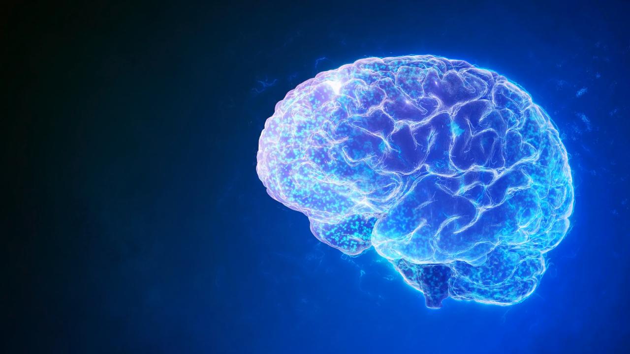 Az agy nagytakarítása: kevesebb epilepsziás roham, jobb memória