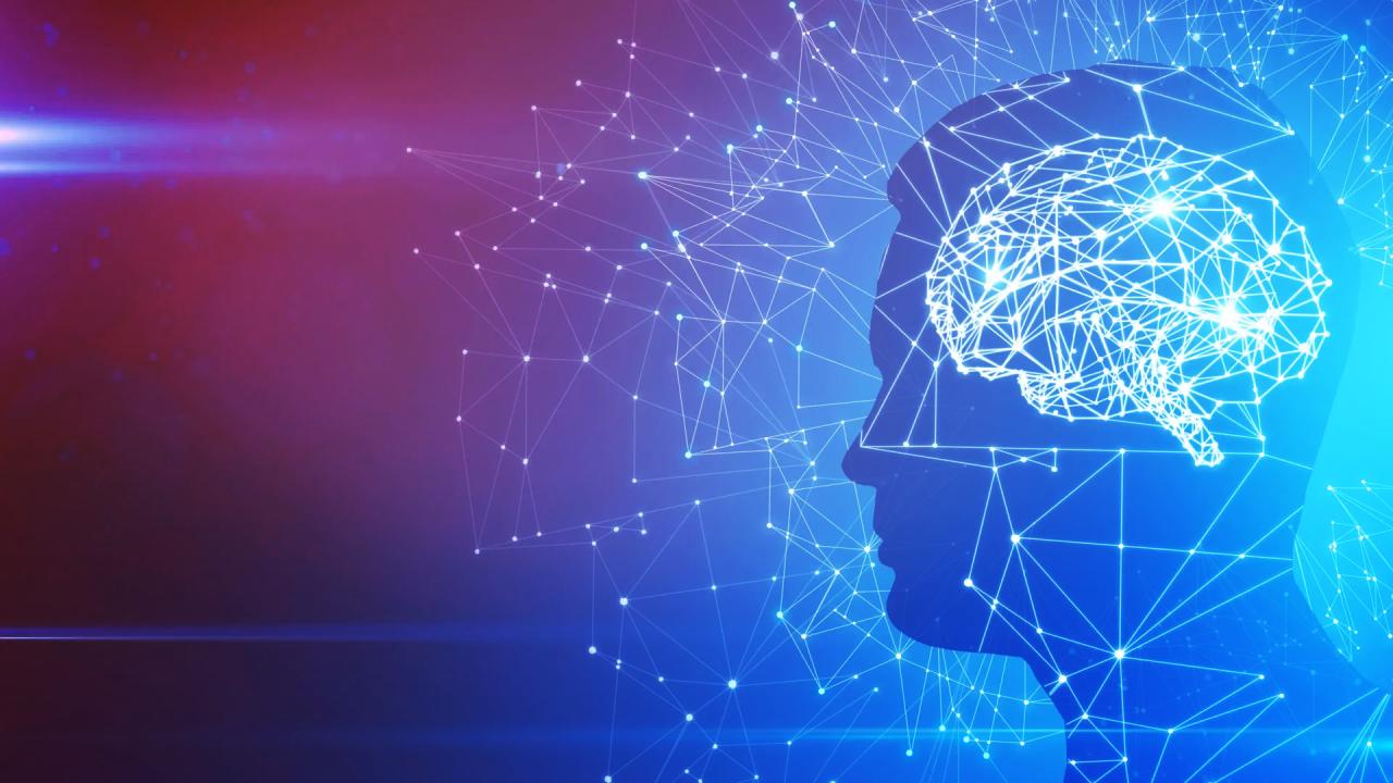 Az agy öt fordulópontja: mikor alakul át igazán az elménk?