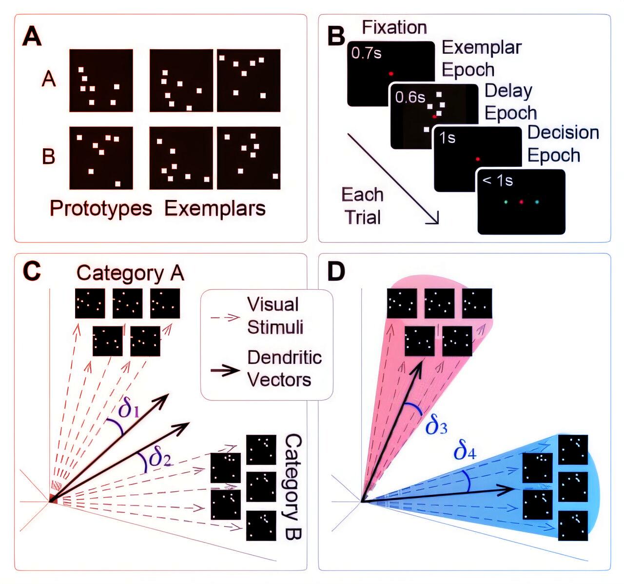 Az agy tanulásának titkai: biomimetikus modell leleplezi rejtett neuronjait