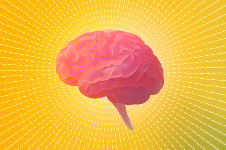 Az agyunk titkai: 2025 tíz legmegdöbbentőbb felfedezése