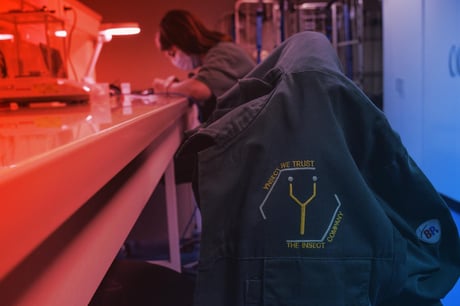 Az álom szertefoszlott: megbukott a francia rovarfarm-startup