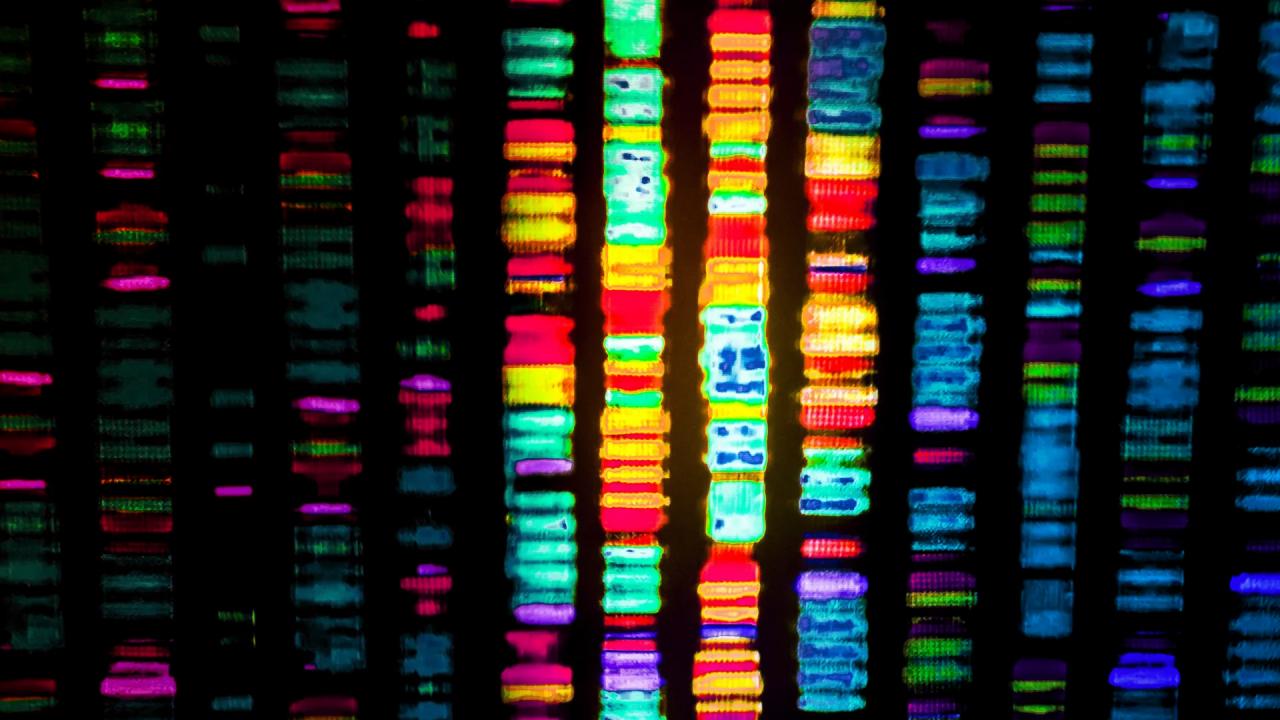 Az Alzheimer-kór és a „nem szemét” DNS titkos szövetsége