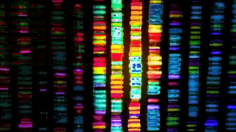 Az Alzheimer-kór és a „nem szemét” DNS titkos szövetsége