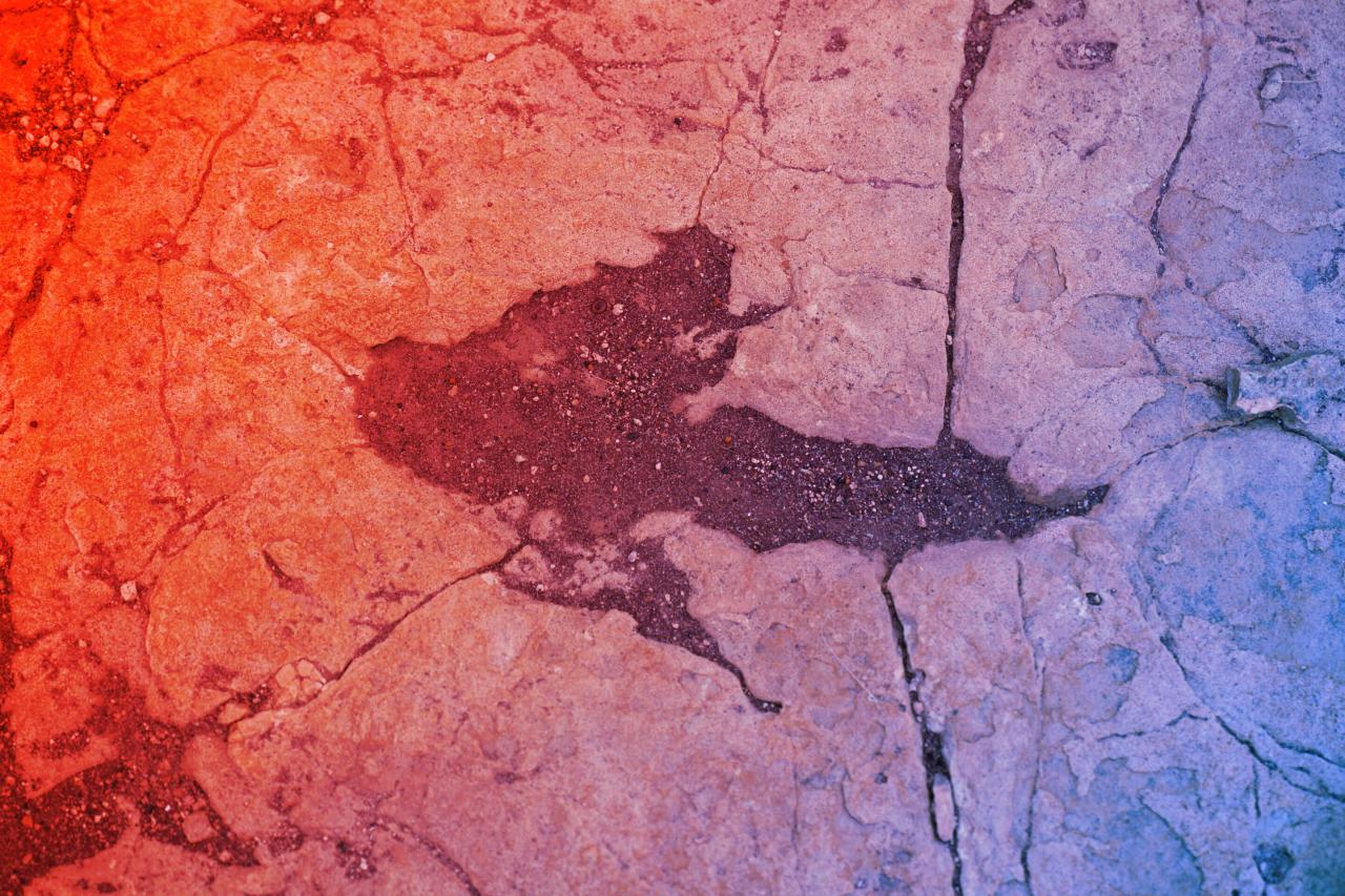 Az Andokban előkerült ősi lábnyomok átírják a dinoszauruszok történetét