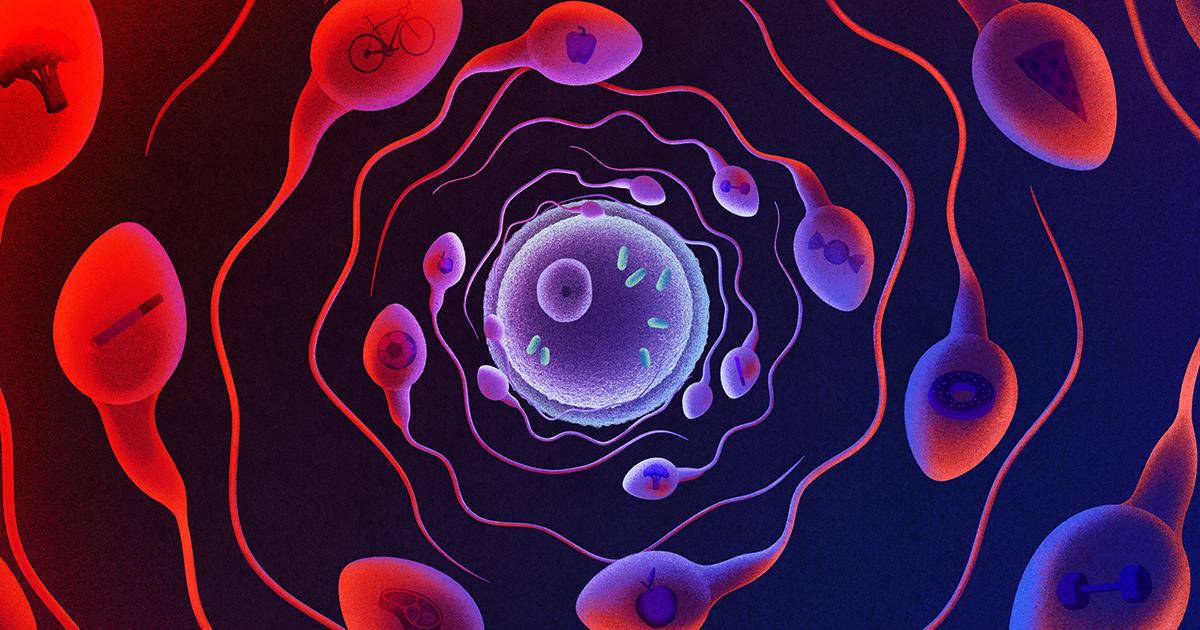 Az apák fittsége formálja a gyerekek jövőjét? A sperma-RNS a kulcs