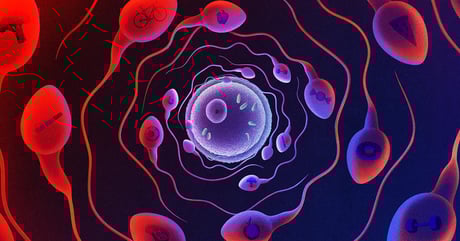 Az apák fittsége formálja a gyerekek jövőjét? A sperma-RNS a kulcs