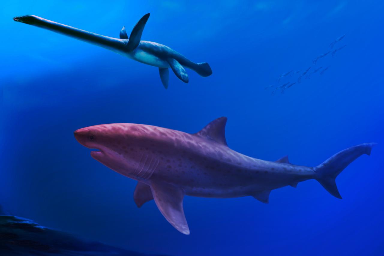 Az ausztráliai rém, amely lepipálta a megalodont