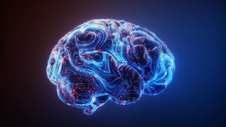 Az egyszerű szokások, amelyek akár 8 évvel fiatalítják az agyat