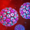 Az elfeledett vírus, amely rákot okozhat: új nyomok a hólyagrák hátteréről