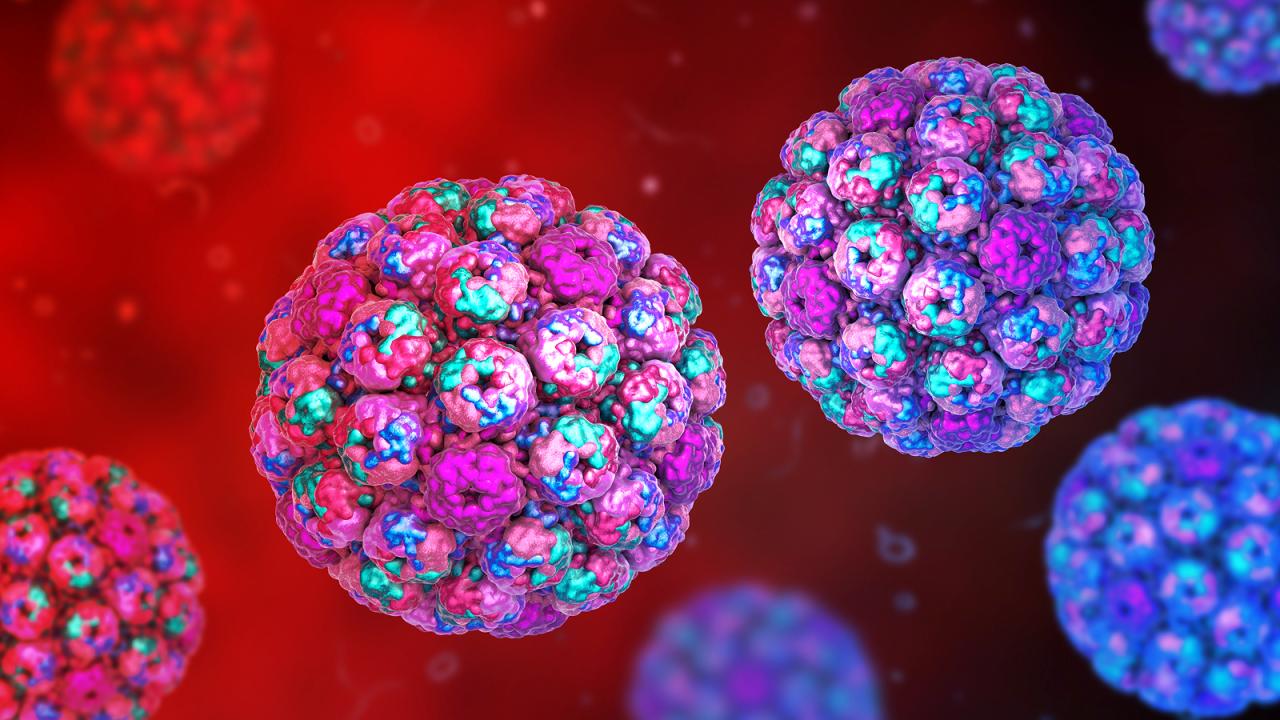 Az elfeledett vírus, amely rákot okozhat: új nyomok a hólyagrák hátteréről