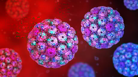 Az elfeledett vírus, amely rákot okozhat: új nyomok a hólyagrák hátteréről