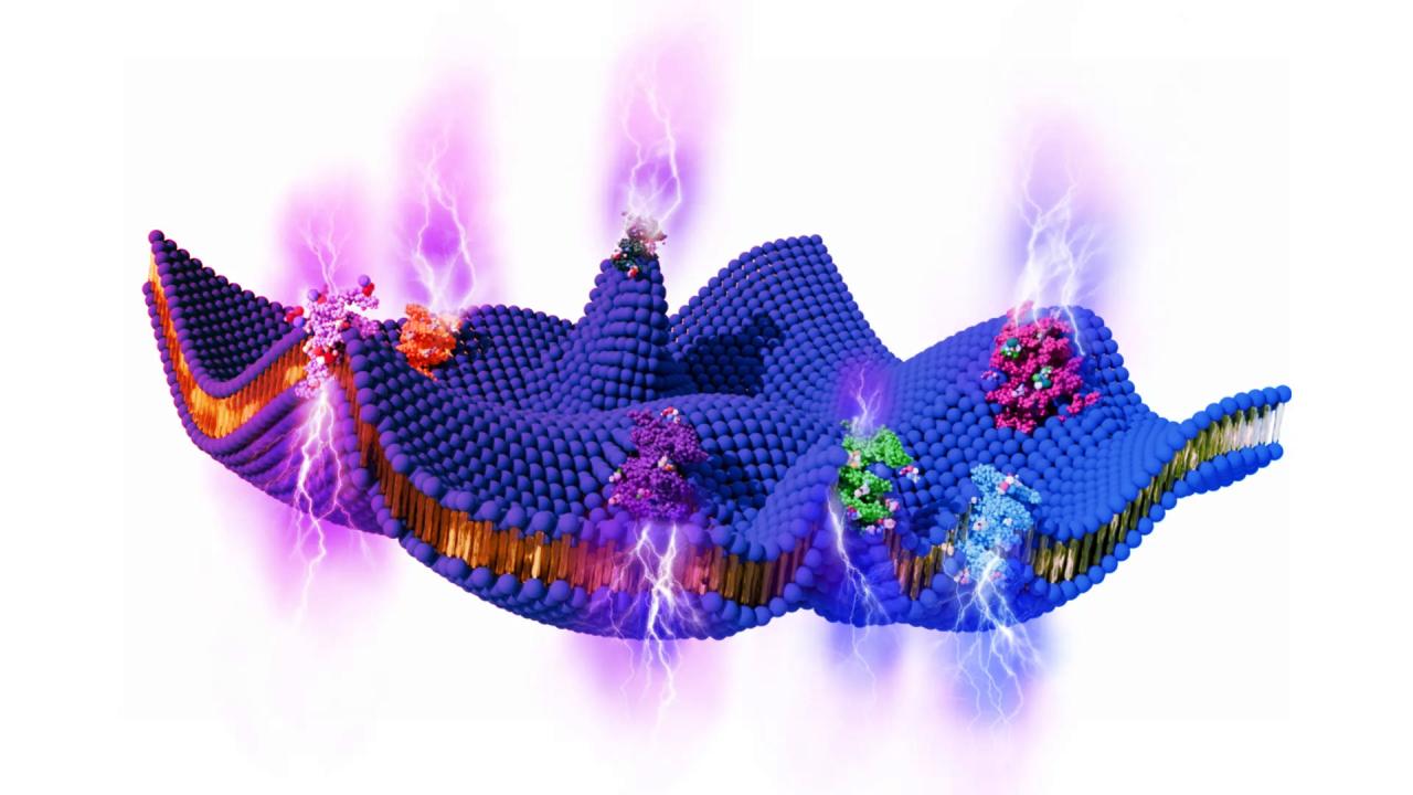 Az élő sejtek mozgásából is nyerhetünk áramot
