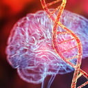 Az első gén, amely bizonyítottan mentális betegséget okoz