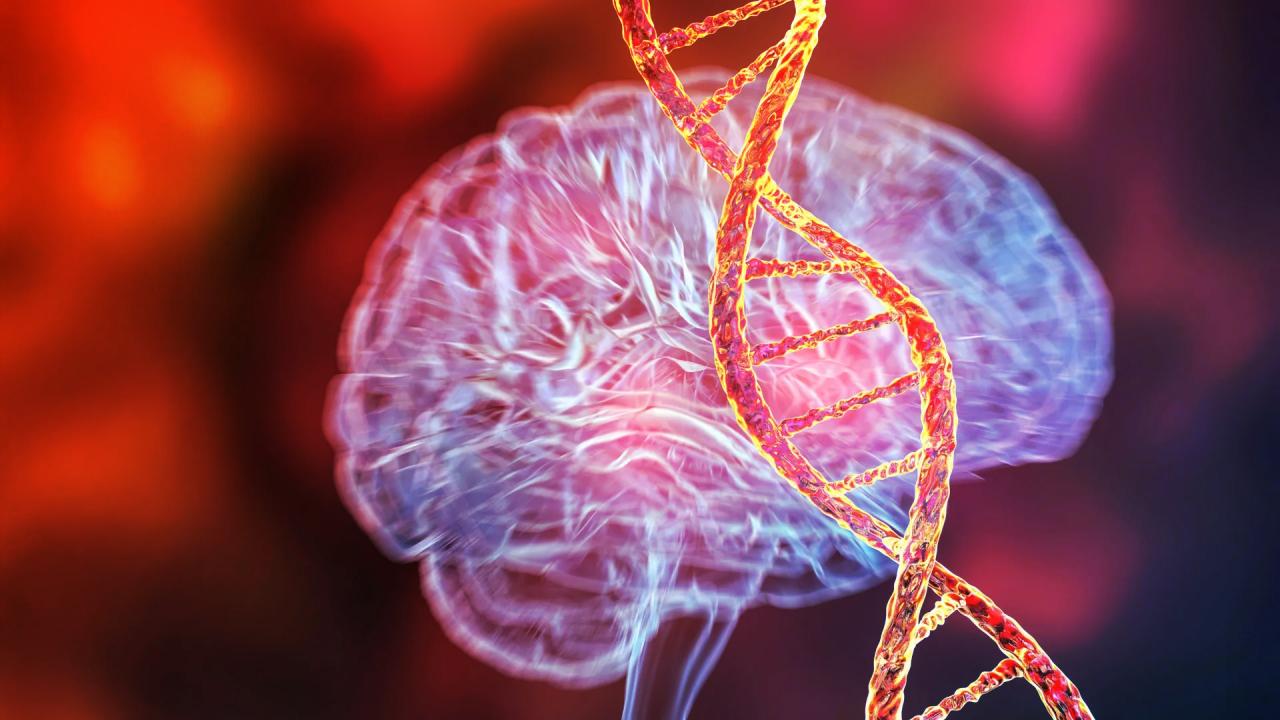 Az első gén, amely bizonyítottan mentális betegséget okoz