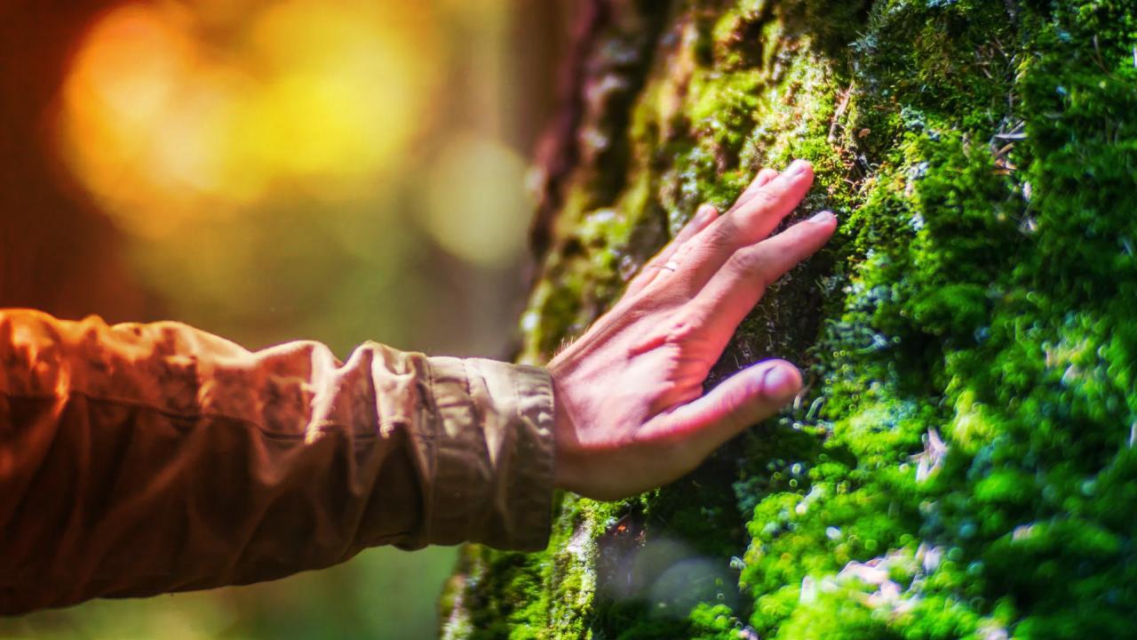 Az ember nem a modern világra termett