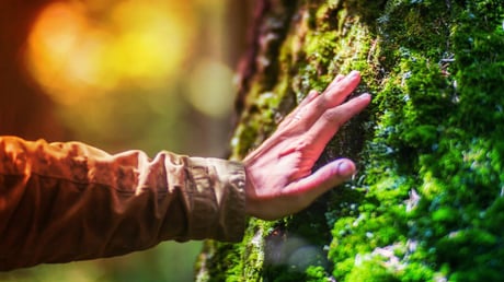 Az ember nem a modern világra termett