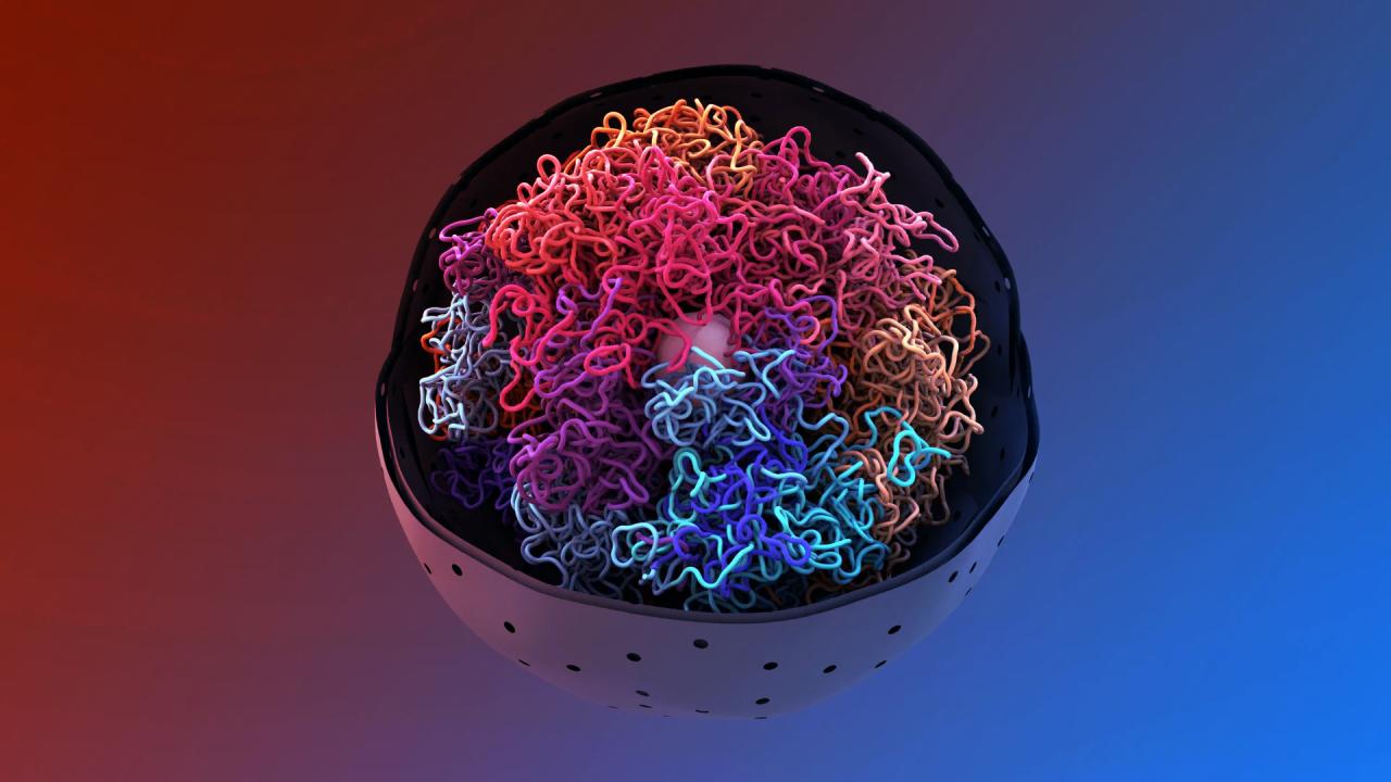 Az emberi DNS rejtett titkai: bepillantás a sejtmag mélyére