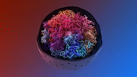 Az emberi DNS rejtett titkai: bepillantás a sejtmag mélyére