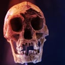 Az emberré válás titkai: 2025 döbbenetes felfedezései